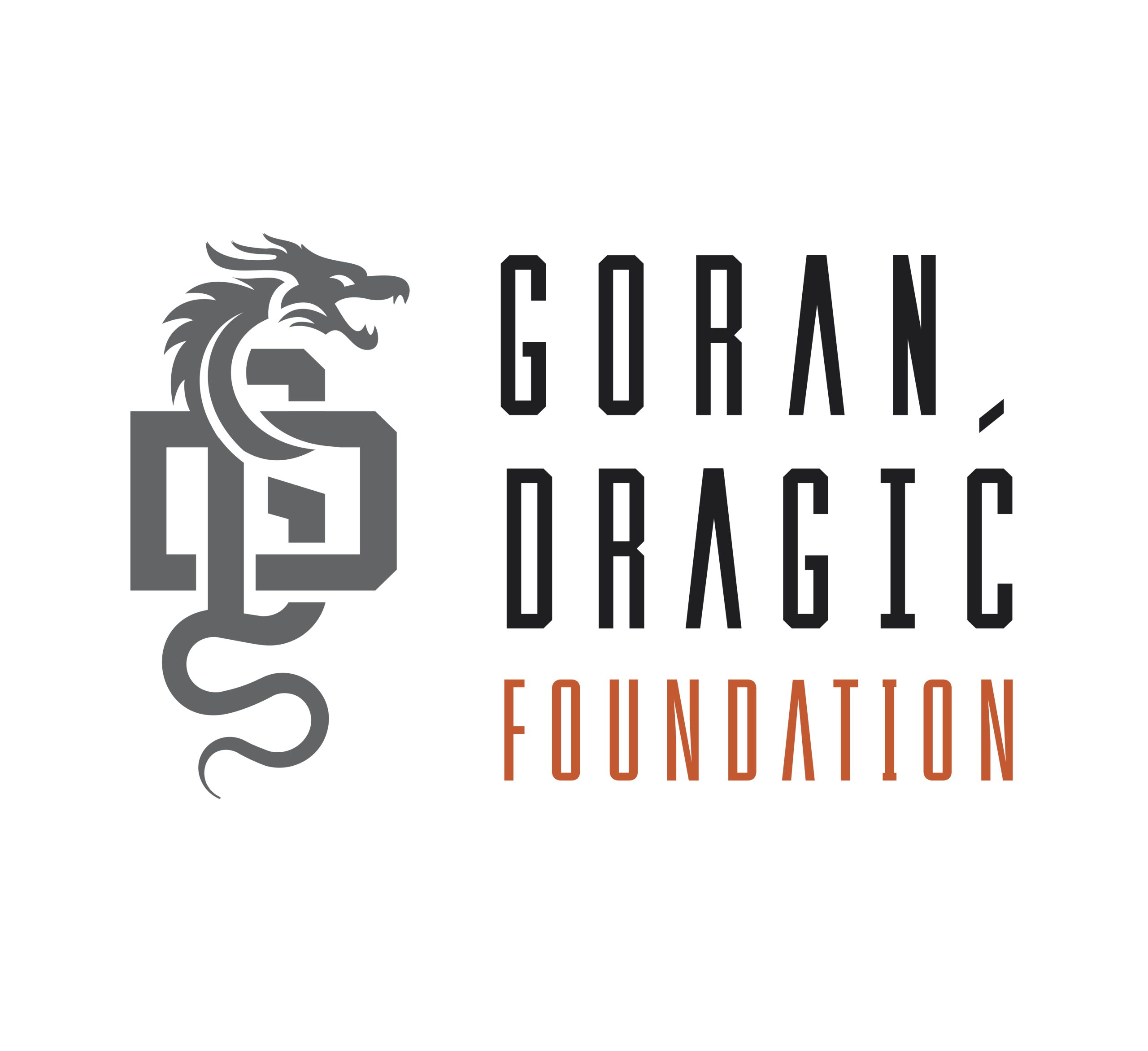 The Dragon - Goran Dragić Foundation